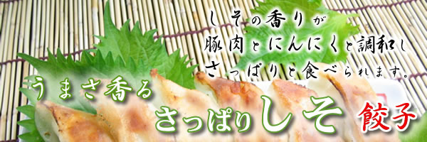 しそ餃子